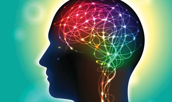 Cerebro iluminado