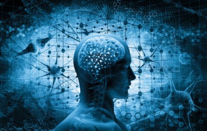 Cómo funciona el cerebro en situaciones críticas