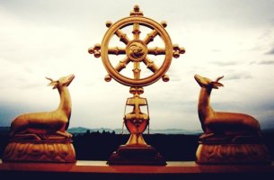 ciervos junto al símbolo del Dharma