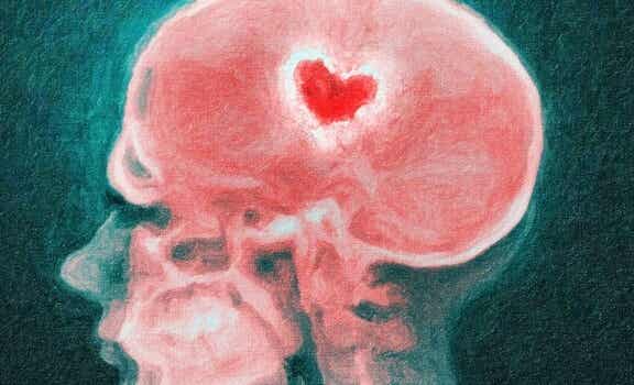 imagen de una radiografía simbolizando cómo el cerebro va del amor al odio