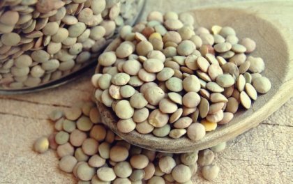 Beneficios del ácido fólico para nuestra salud cerebral