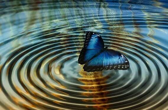 mariposa suspendida entre ondas simbolizando la la teoría del caos