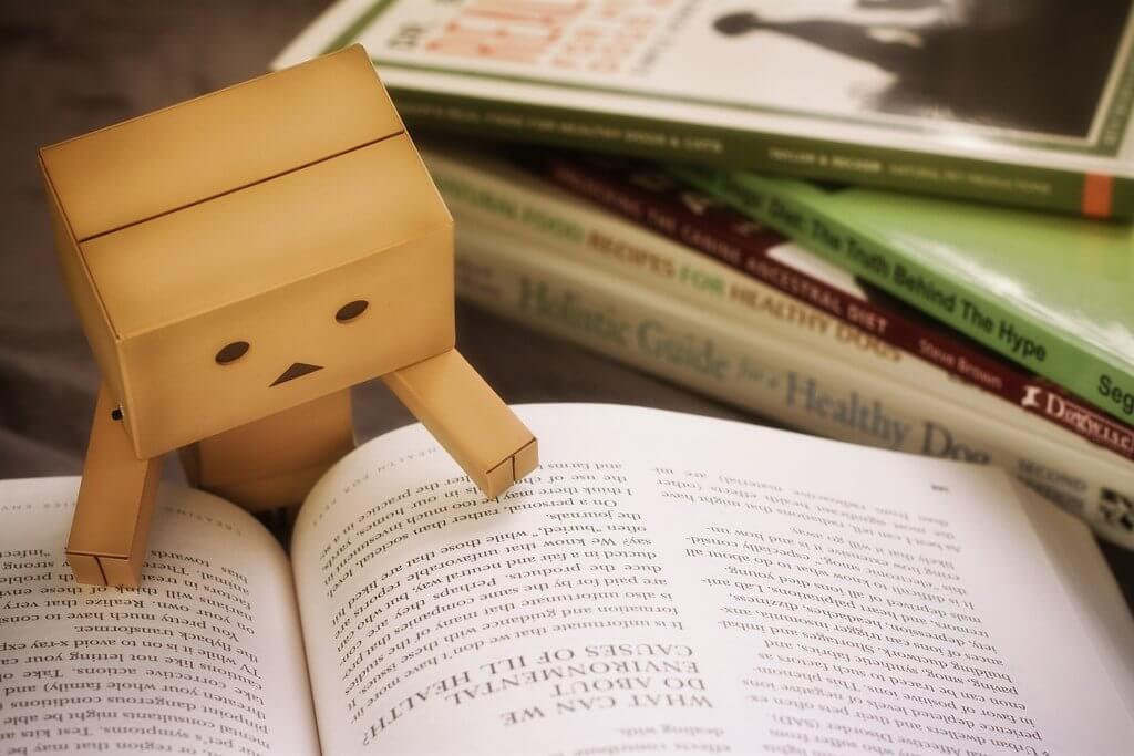 Muñeco con un libro