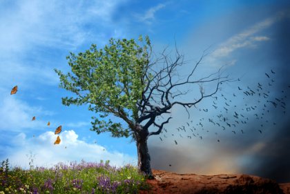 Salud ambiental, ¿por qué es importante?