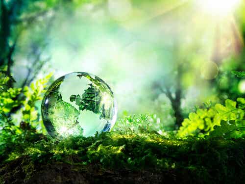 Bola del mundo transparente al aire libre