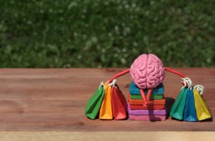 Cerebro con bolsas de la compra para representar el cerebro del consumidor