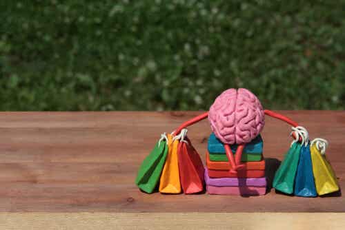 El cerebro del consumidor
