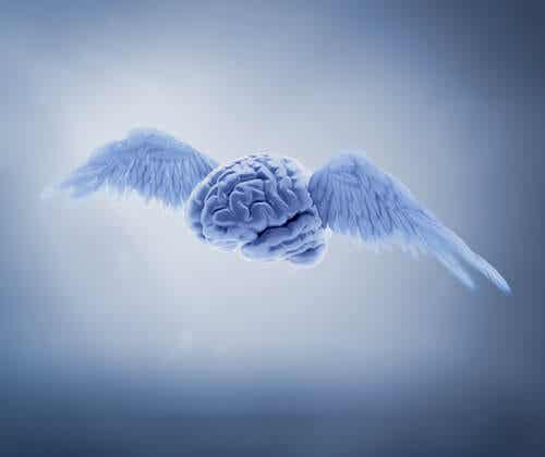 Cerebro con alas
