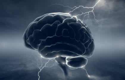Neurobiología del psicópata: cuando el cerebro pierde su “humanidad”