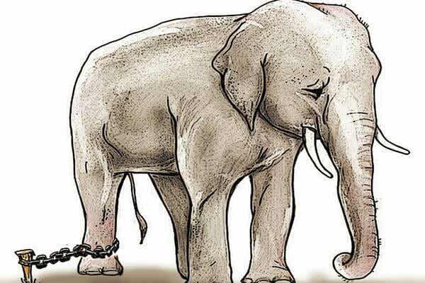 ilustración representando la historia del elefante encadenado