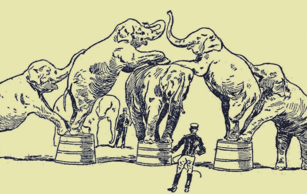ilustración representando la historia del elefante encadenado