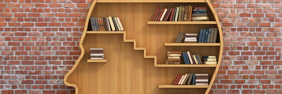 Libro ordenados en una estantería con forma de cabeza