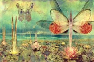 Mujeres mariposa