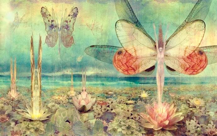 mujeres mariposa representando a la personalidad tóxica