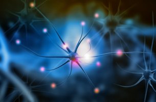 Neuronas