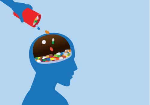 ¿Cómo proteger nuestro cerebro de la neurotoxicidad?
