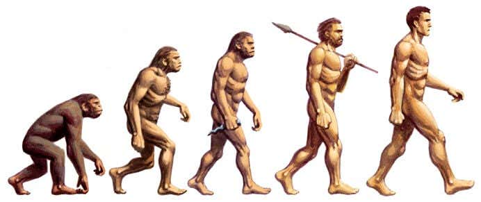 La evolución del hombre