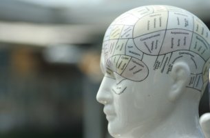 Cabeza con zonas señaladas para representar la frenología