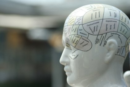 Frenología: el tamaño importa