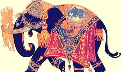 El elefante que perdió su anillo de bodas, una historia para pensar