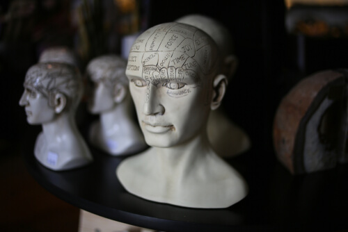 Figura con zonas de cabeza señaladas