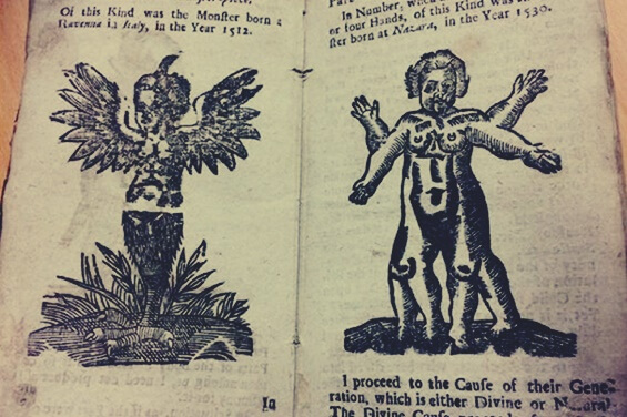 manual de sexo