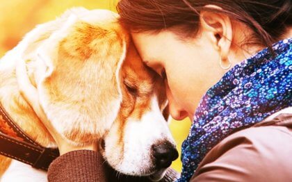 Los motivos que nos llevan a querer a un animal con tanta intensidad