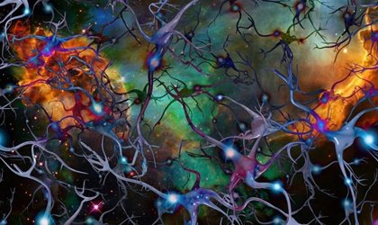 Déficit de acetilcarnitina y depresión, un vínculo significiativo