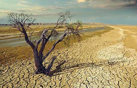 imagen con sequía 