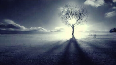 Árbol solitario forma simbolizando el origen de la palabra empatía