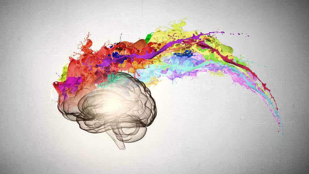 Cerebro con un rastro de colores