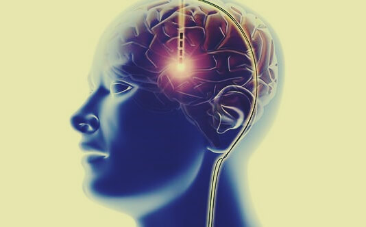 sistema de recompensa del cerebro