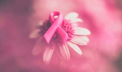 flor con lazo rosa simbolizando el cáncer de mama