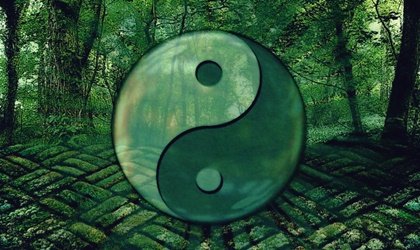 7 frases del Tao para evolucionar