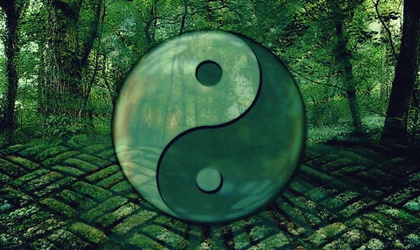 7 frases del Tao para evolucionar La Mente es Maravillosa 7 frases del Tao para evolucionar La Mente es Maravillosa