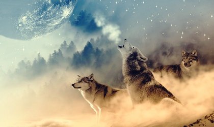 Qué es la medicina de lobo, según los nativos americanos