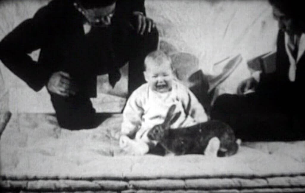 Little-Albert-Experiment
