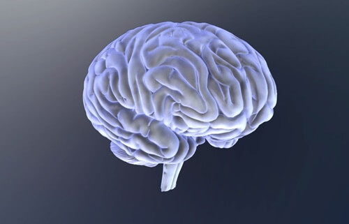 Cerebro
