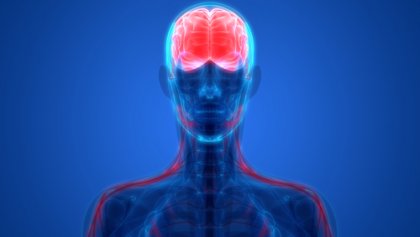 Psiquiatría biológica: ¿en qué consiste?