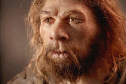 El cerebro de los neandertales