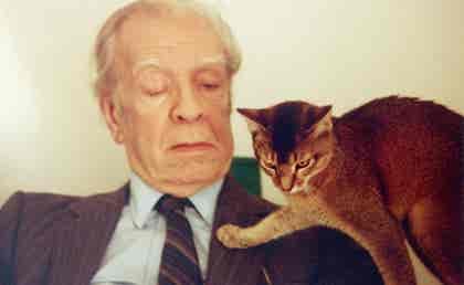 Jorge Luis Borges: biografía de un erudito de las letras