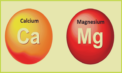 nutrientes representando cómo la deficiencia de calcio y magnesio