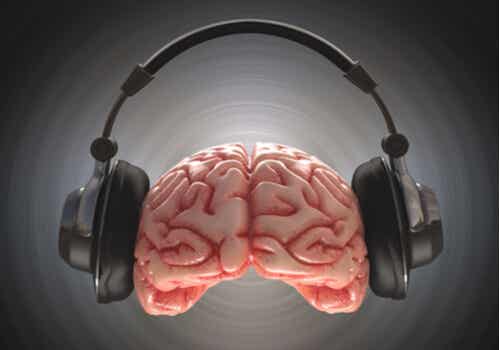 Cerebro con unos cascos escuchando música