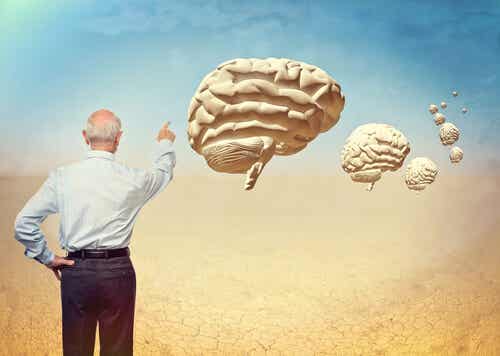 La neuropsicología del envejecimiento