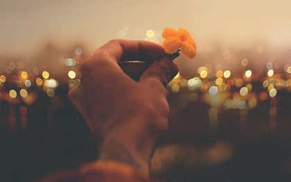 mano con flor simbolizando cómo vivir en plenitud