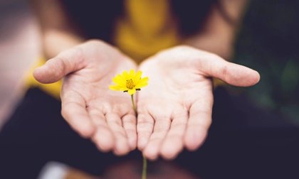 7 frases para empezar nuevas etapas con esperanza