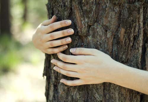 Mujer abrazada a un árbol