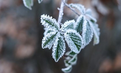 Cómo vivir con una persona alexitímica