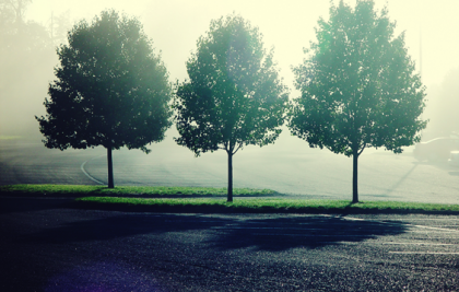 3 caminos de huida que alimentan la angustia