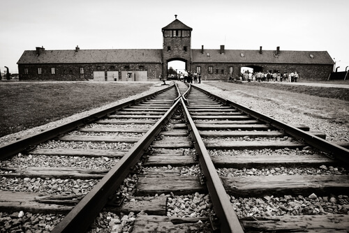 histoire d'amour à auschwitz